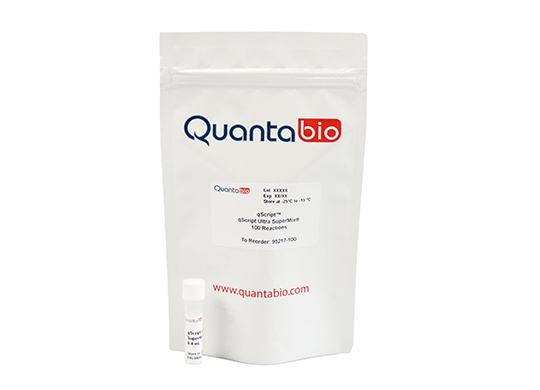 0541077Img1.jpg 0541077Img1.jpg