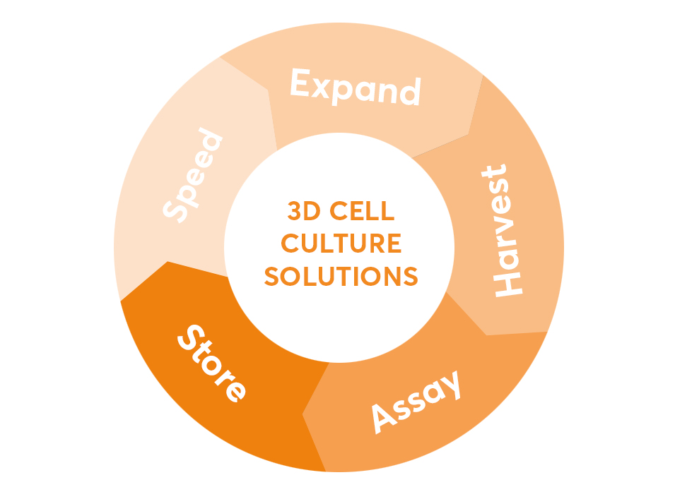3DCellCulture-955x690.jpg 3DCellCulture-955x690.jpg