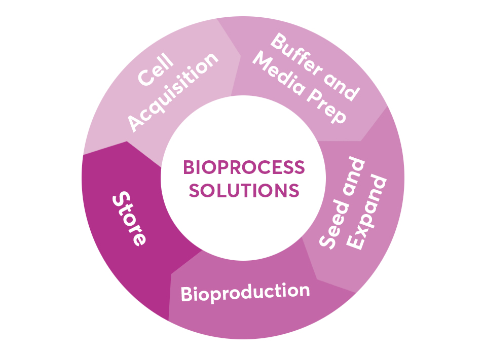 Bioprocess-955x690.jpg Bioprocess-955x690.jpg