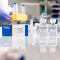 DNATransfectionReagent-200x200.jpg DNATransfectionReagent-200x200.jpg
