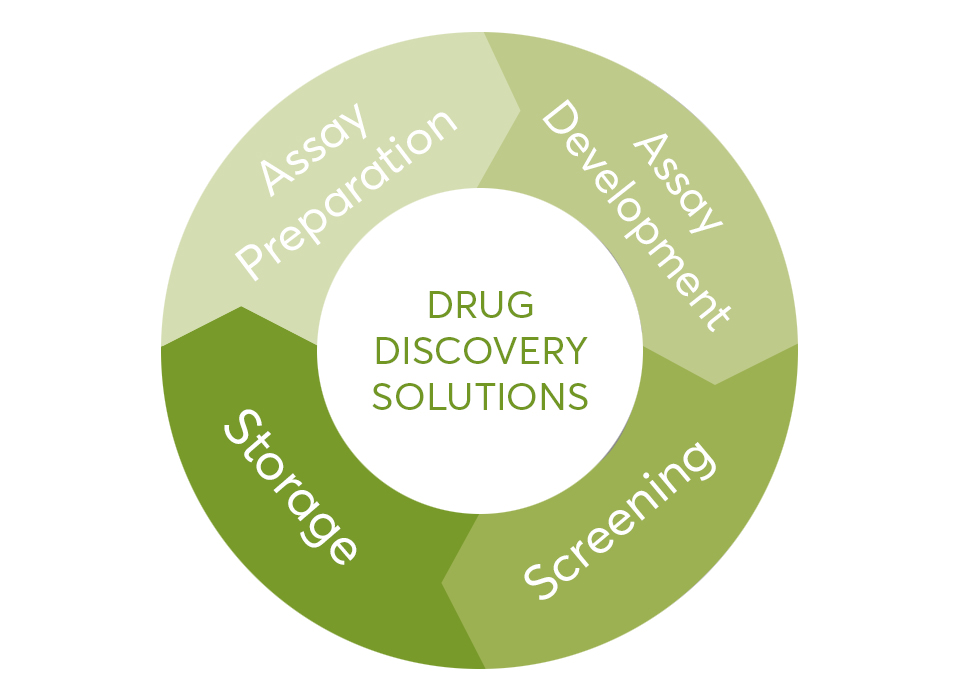 DrugDiscovery-955x690.jpg DrugDiscovery-955x690.jpg