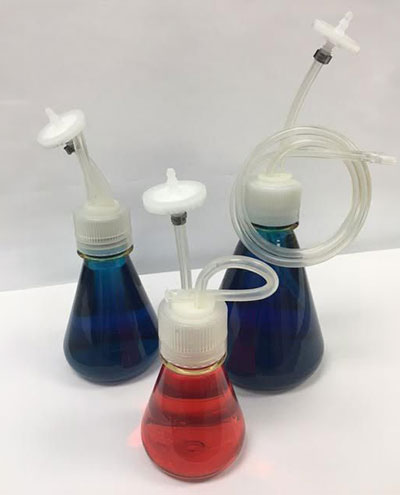 17891911-400x495.jpg 17891911-400x495.jpg