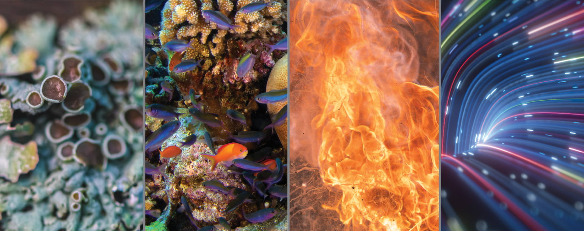 2026CatalogBanner_1920x760.png 2026CatalogBanner_1920x760.png