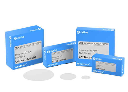 28398_10061-540x390.jpg 28398_10061-540x390.jpg