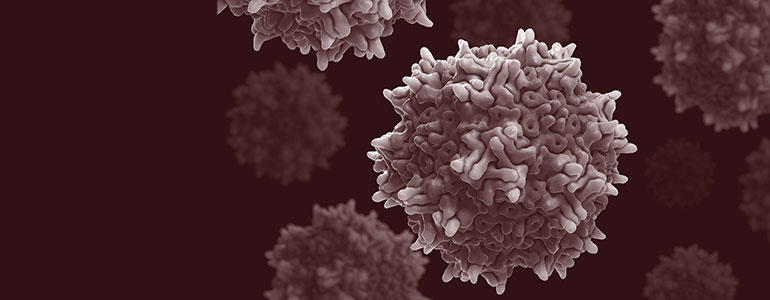 33644-Main-webinar-banner.jpg 33644-Main-webinar-banner.jpg