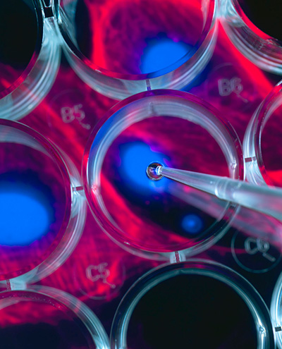 3630344upCard4new.jpg 3630344upCard4new.jpg