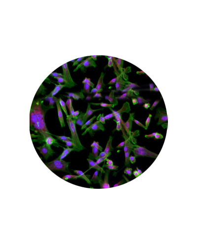 3980954upCard1.jpg 3980954upCard1.jpg