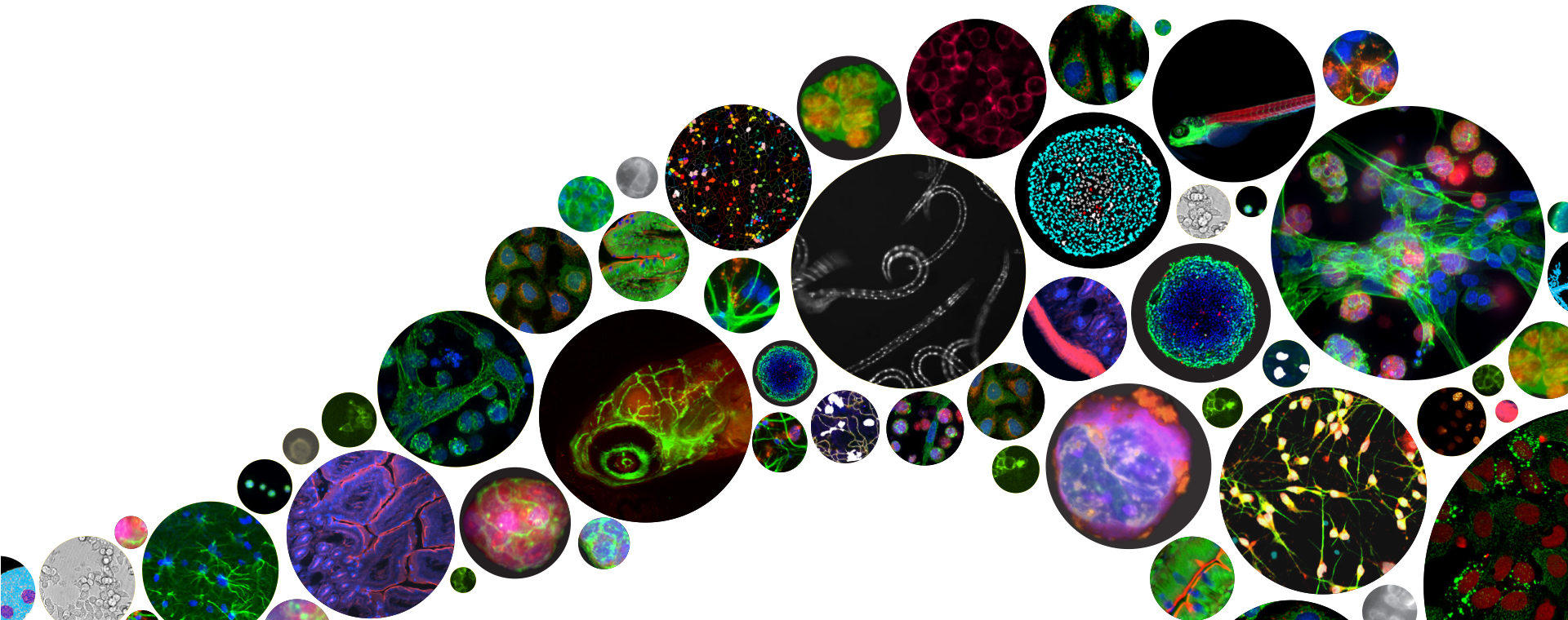 398095Herocardimg1.jpg 398095Herocardimg1.jpg