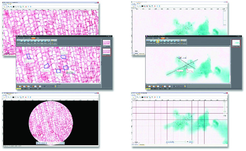 3990004.jpg 3990004.jpg