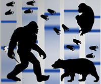 470346-888_Bigfoot-200.jpg 470346-888_Bigfoot-200.jpg