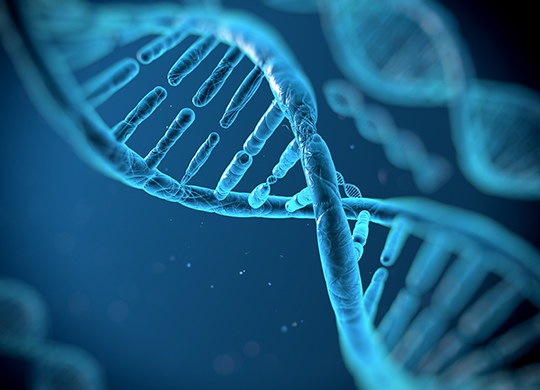 5-LifeSciencePromotions-540x390.jpg 5-LifeSciencePromotions-540x390.jpg