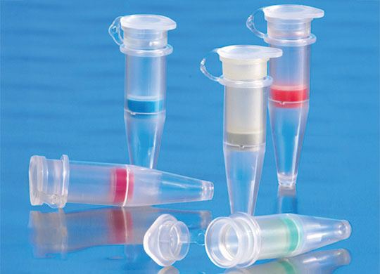 516-0227-540x390.jpg 516-0227-540x390.jpg