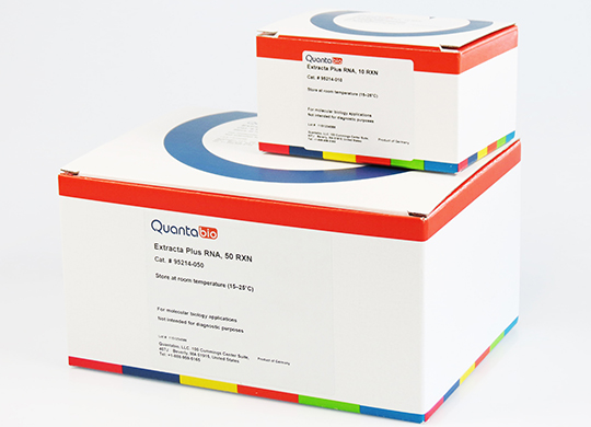 541076RNAImg.jpg 541076RNAImg.jpg