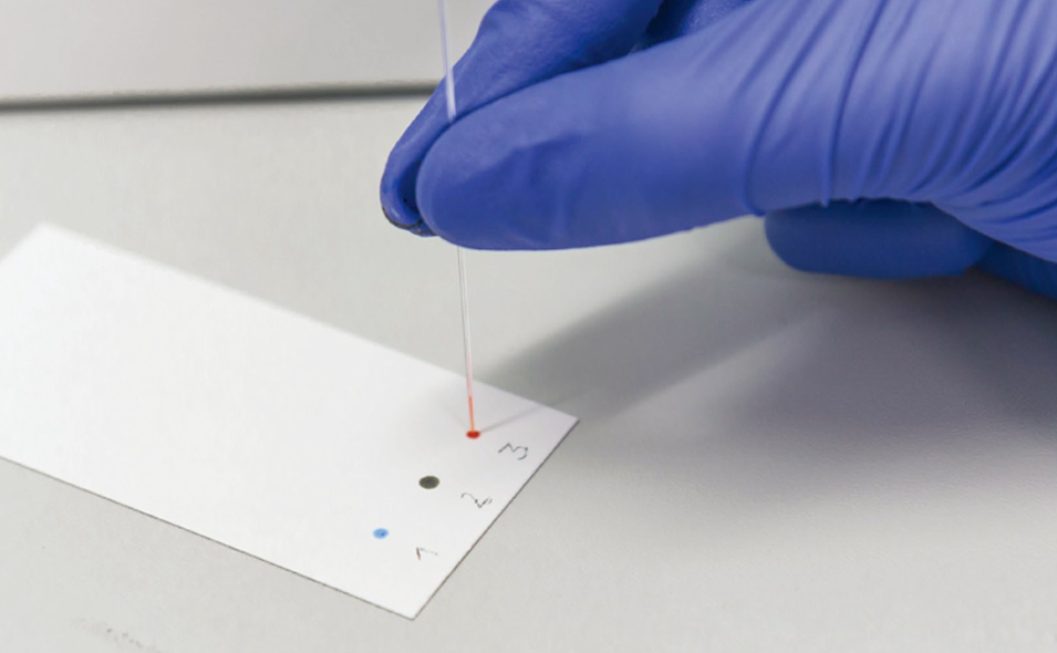 571169FeaturecardImg.jpg 571169FeaturecardImg.jpg