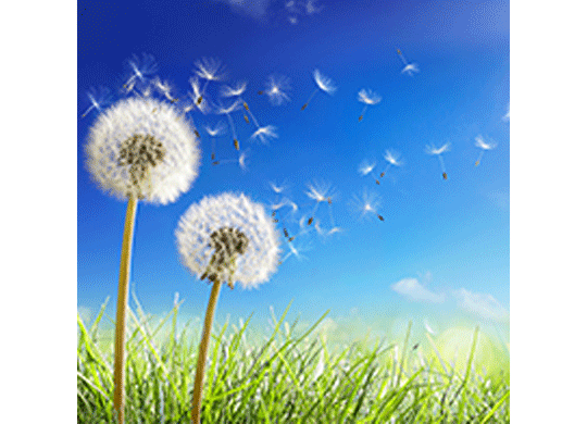 Air-Analysis-Applications.png Air-Analysis-Applications.png