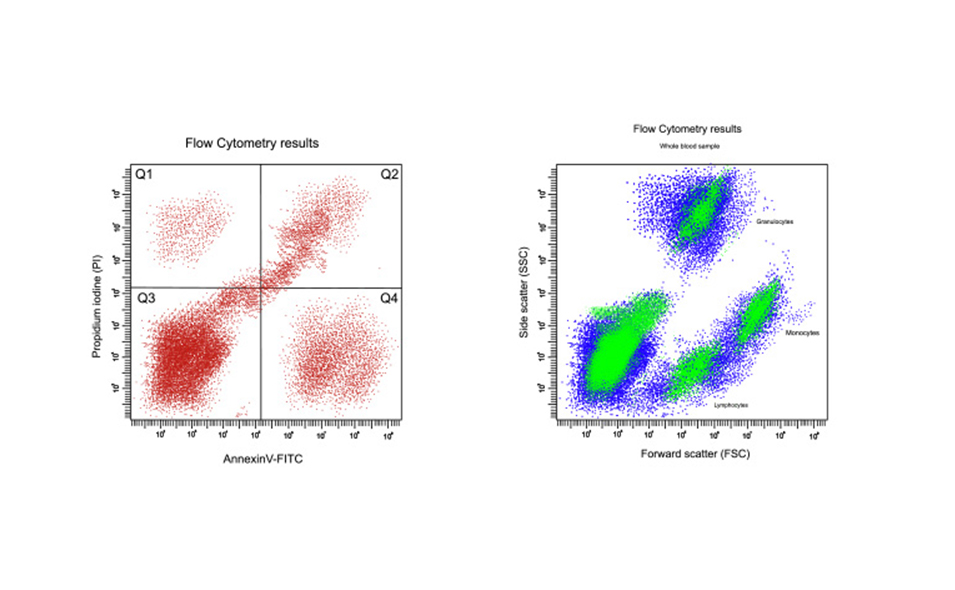 AnalyzingFlowCytometryResults_banner.jpg AnalyzingFlowCytometryResults_banner.jpg