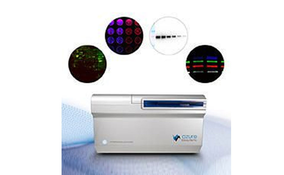 AzureSapphire955x590.jpg AzureSapphire955x590.jpg