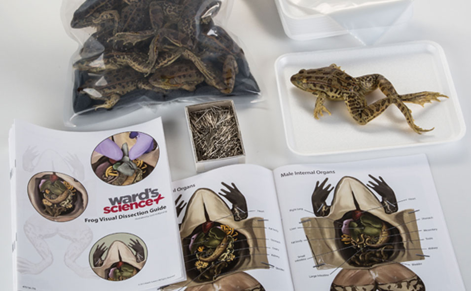 BOR_Resources-BIo-LivingSpecFeaturePromo_955x590.jpg BOR_Resources-BIo-LivingSpecFeaturePromo_955x590.jpg