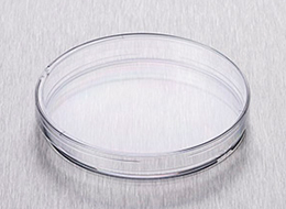 BP93B-101-2CTA button image260x190.jpg BP93B-101-2CTA button image260x190.jpg