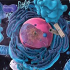 BioSub_140.jpg BioSub_140.jpg