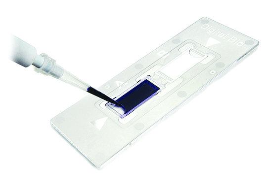 C-Chip540-390.png C-Chip540-390.png
