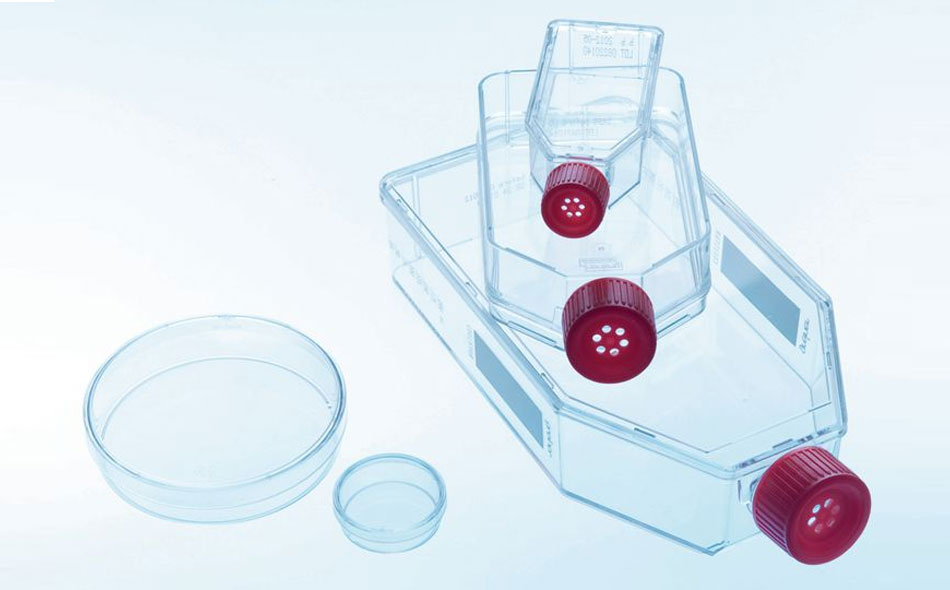 CELLSTARCell_950x590.jpg CELLSTARCell_950x590.jpg