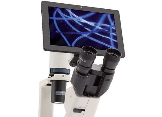 CamerasColumnCardimg4.jpg CamerasColumnCardimg4.jpg