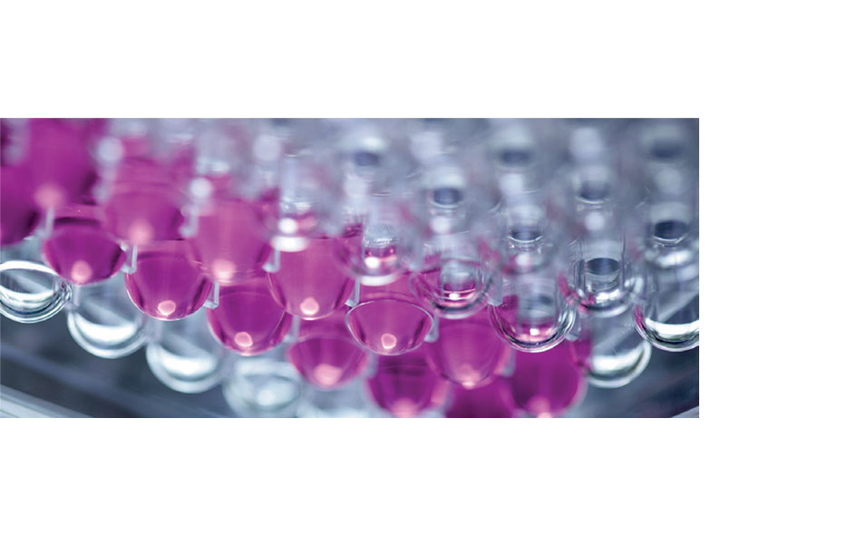 Cell-Repellent-Surface-955x590.jpg Cell-Repellent-Surface-955x590.jpg