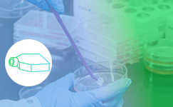 Cell-culture.png Cell-culture.png