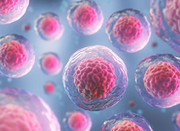 Cell-therapy260-190.jpg Cell-therapy260-190.jpg