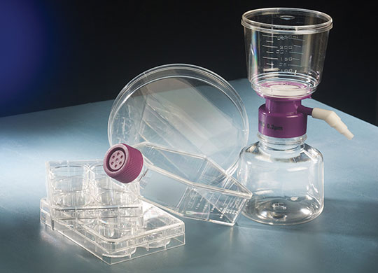 CellCulture2-540x390.jpg CellCulture2-540x390.jpg