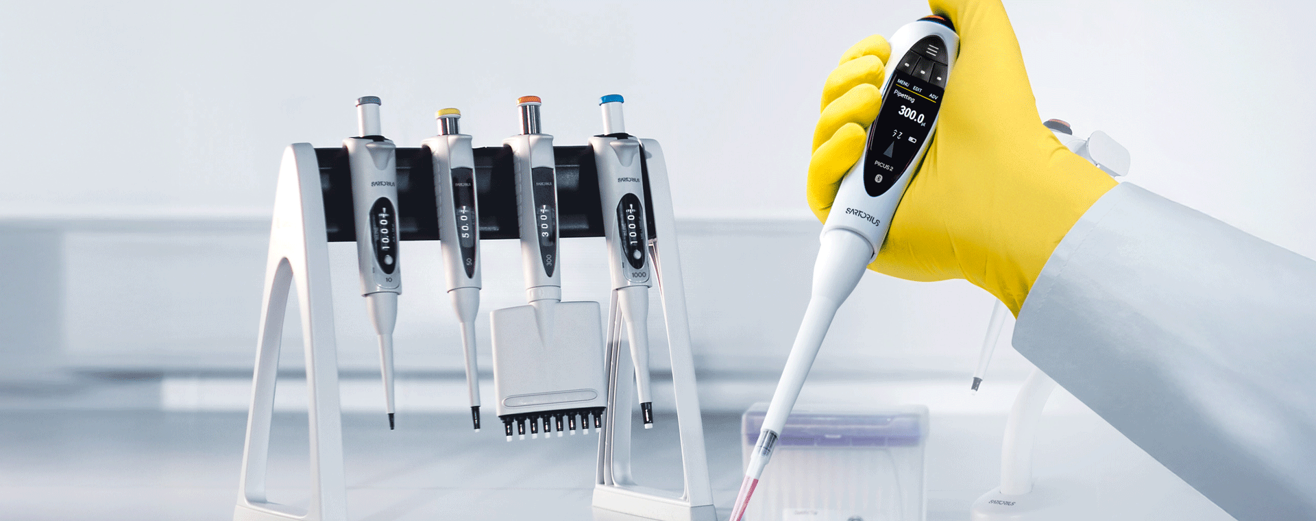 Channel-pippethero.gif Channel-pippethero.gif