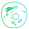 ChildPage4_genBio_100.jpg ChildPage4_genBio_100.jpg