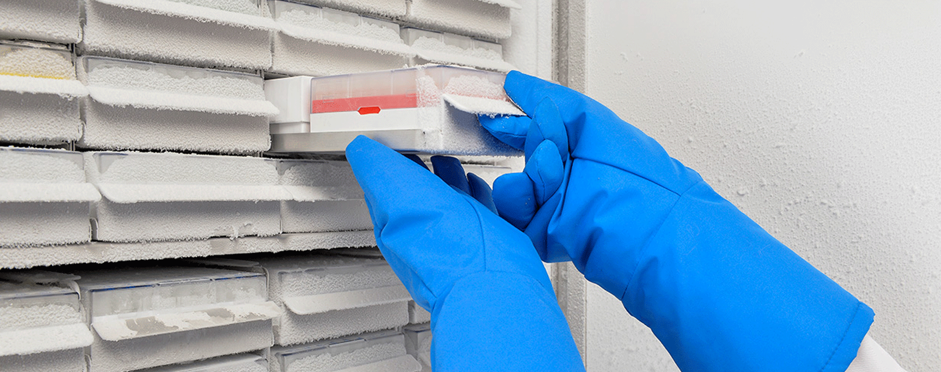 Cold-Storage.gif Cold-Storage.gif