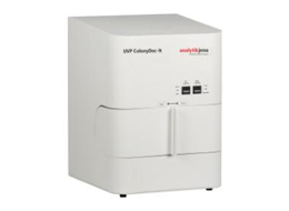 ColonyDoc4.jpg ColonyDoc4.jpg