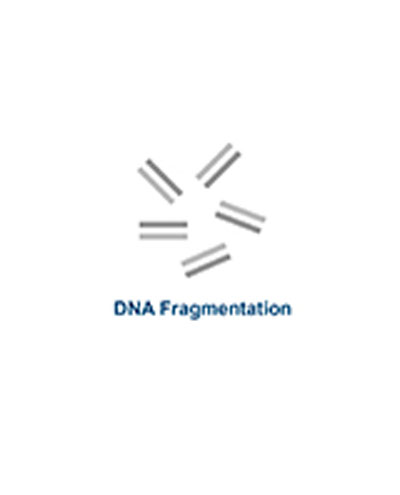 DNA_400.jpg DNA_400.jpg