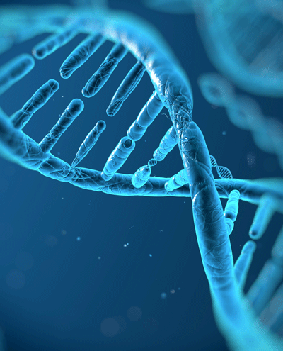 DNA400.png DNA400.png