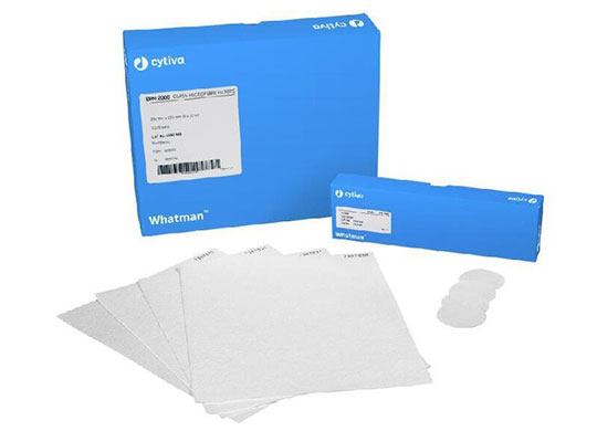 EPM-2000_13431-540x390.jpg EPM-2000_13431-540x390.jpg