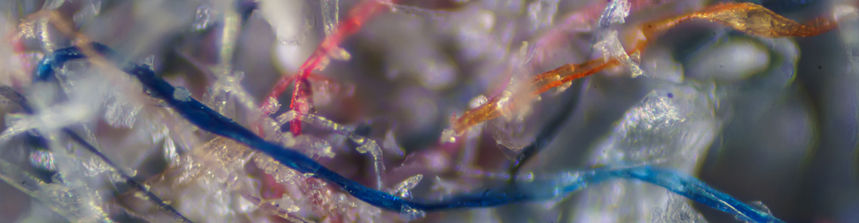 Engage_960.jpg Engage_960.jpg