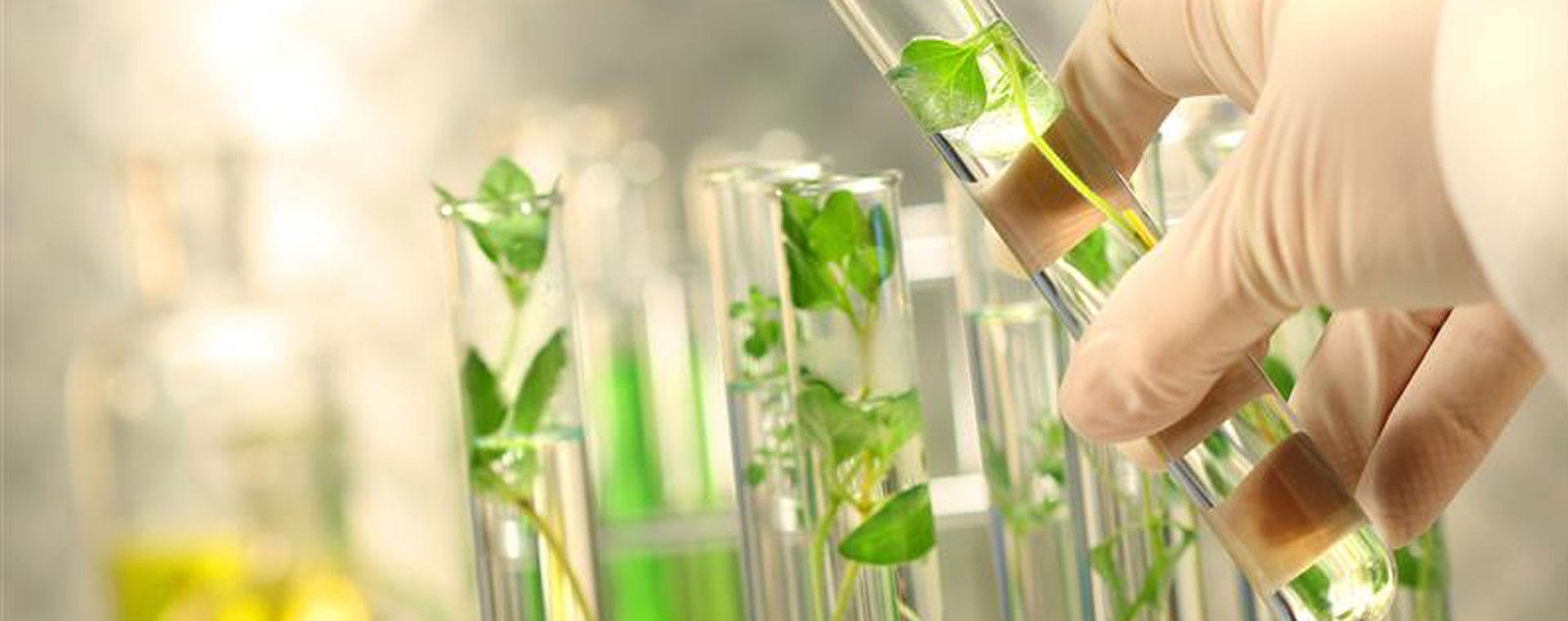 Enhancing-Environmental-Workflow.jpg Enhancing-Environmental-Workflow.jpg