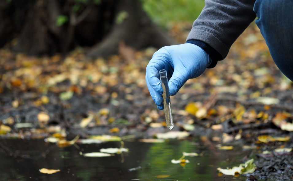 Environmental-Analysis-Feature.jpg Environmental-Analysis-Feature.jpg