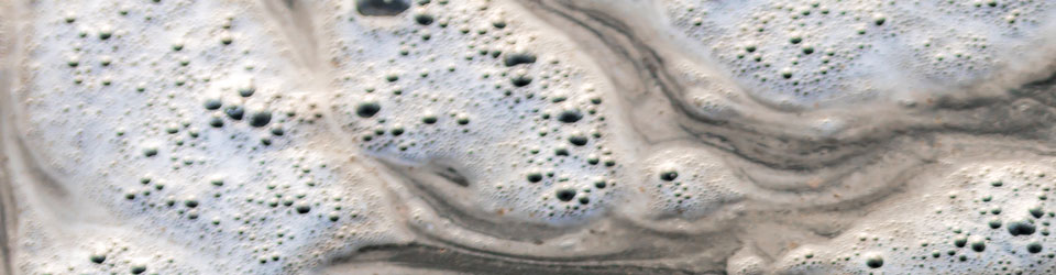 EnvironmentalSci960x250.jpg EnvironmentalSci960x250.jpg