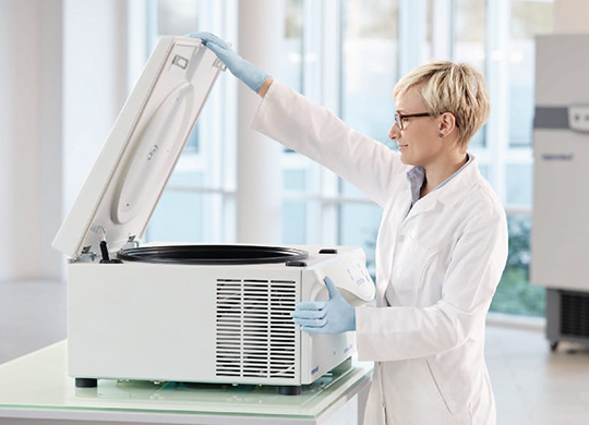 Ependorf.png Ependorf.png