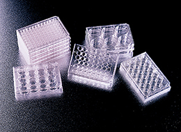 Falcon PlatesCTA button i2mage260x190.jpg Falcon PlatesCTA button i2mage260x190.jpg