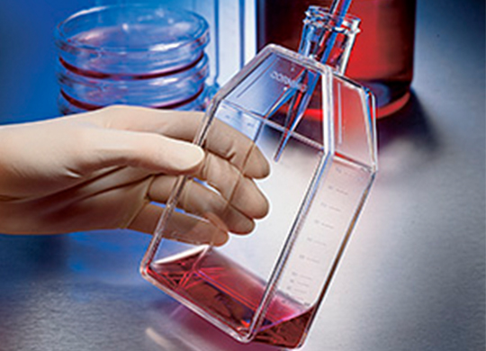 Flasks and Bottle cell culture group_pdf540x390.jpg