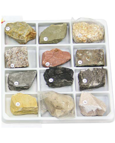 Fossil-Collections-400x495.jpg Fossil-Collections-400x495.jpg