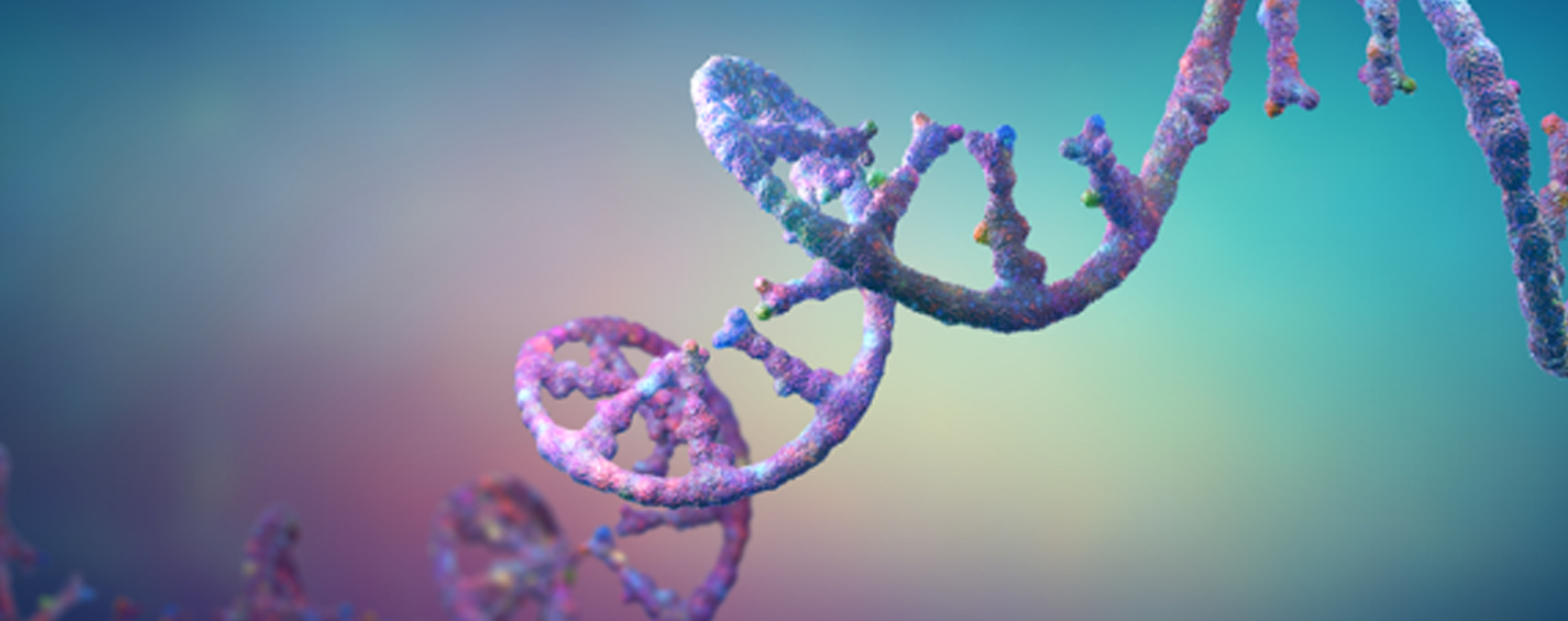 Gene-therapy11.png Gene-therapy11.png