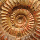 Geo_EarthBanner140x140.jpg Geo_EarthBanner140x140.jpg