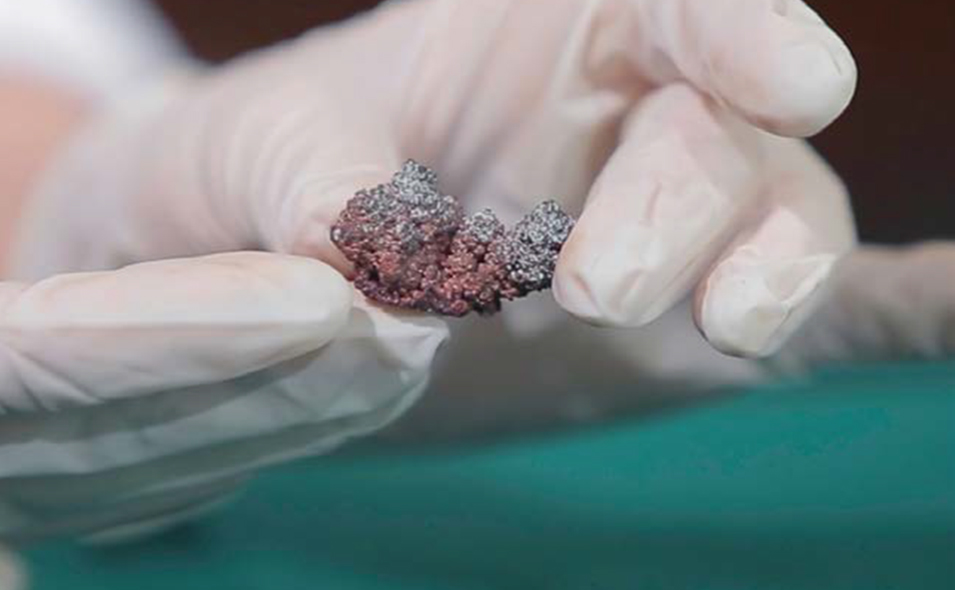 Geology-Collections955x590.jpg Geology-Collections955x590.jpg