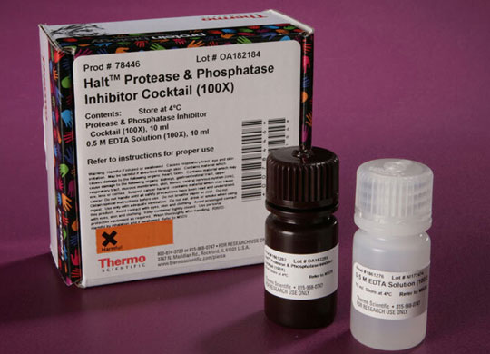 Halt_Protease_540.jpg Halt_Protease_540.jpg